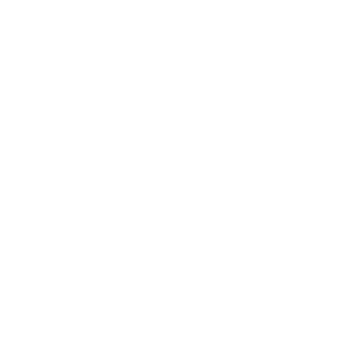 Fireplace Accessories